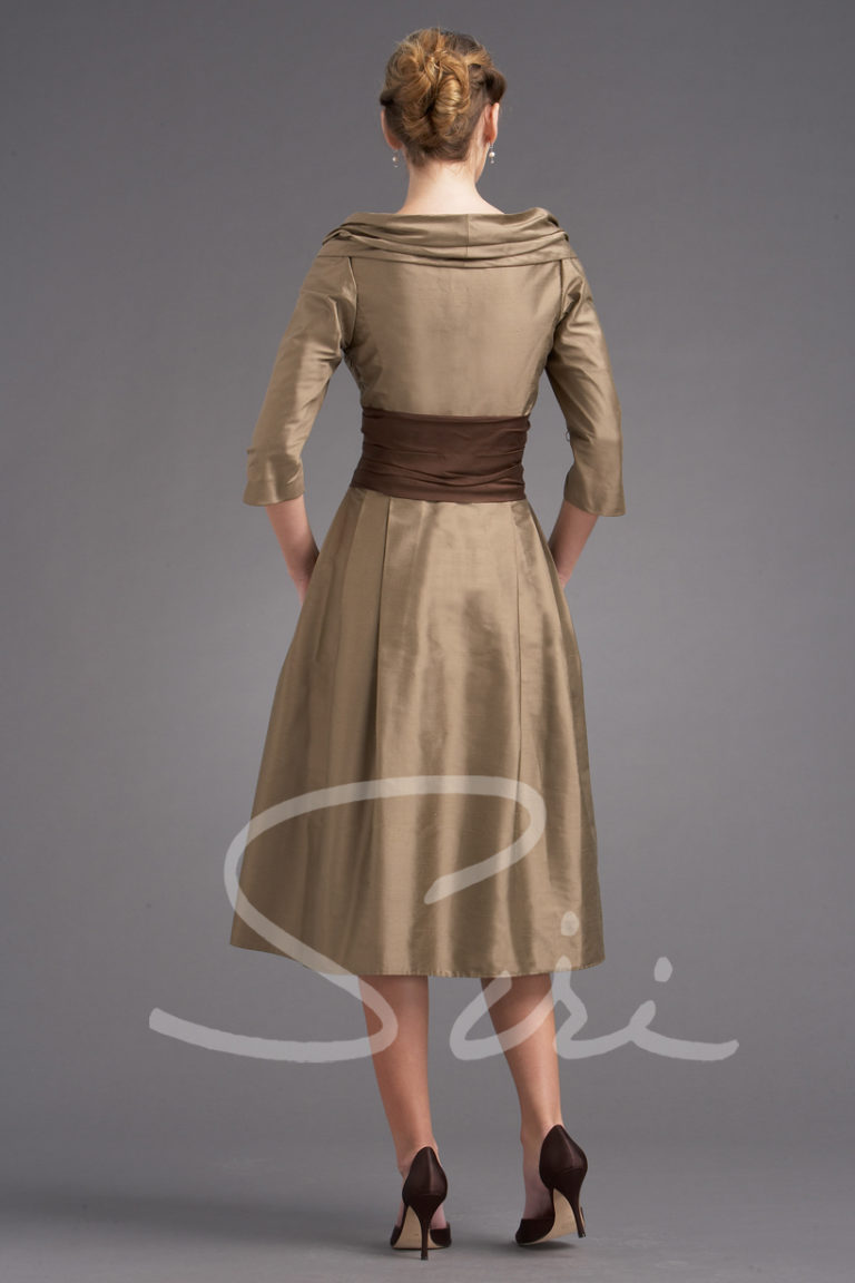 dress with sleeve