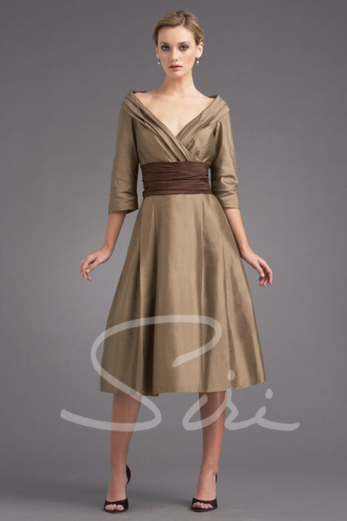 Full skirt dress with sleeve