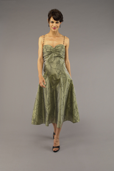 Embroidered party dress