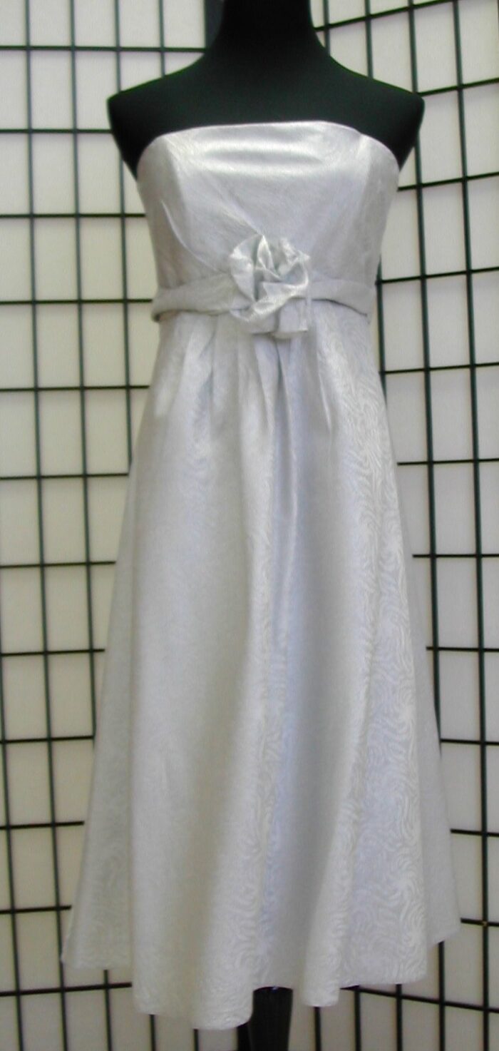silver metallic dress